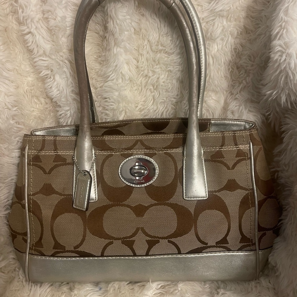 Stylish Brown and Silver Handbag